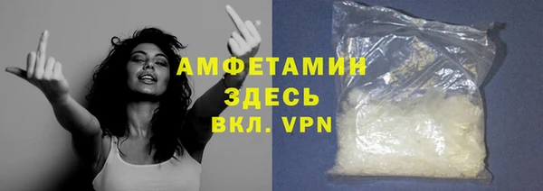 прущие грибы Аркадак