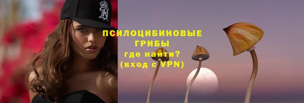 МДПВ Няндома