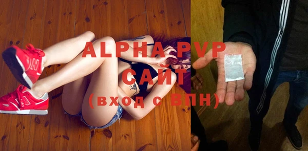 прущие грибы Осташков
