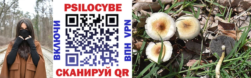 купить наркоту Кохма Псилоцибиновые грибы MAGIC MUSHROOMS